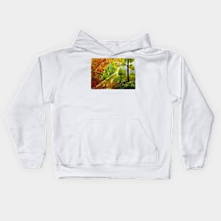 Autumn Passage Kids Hoodie